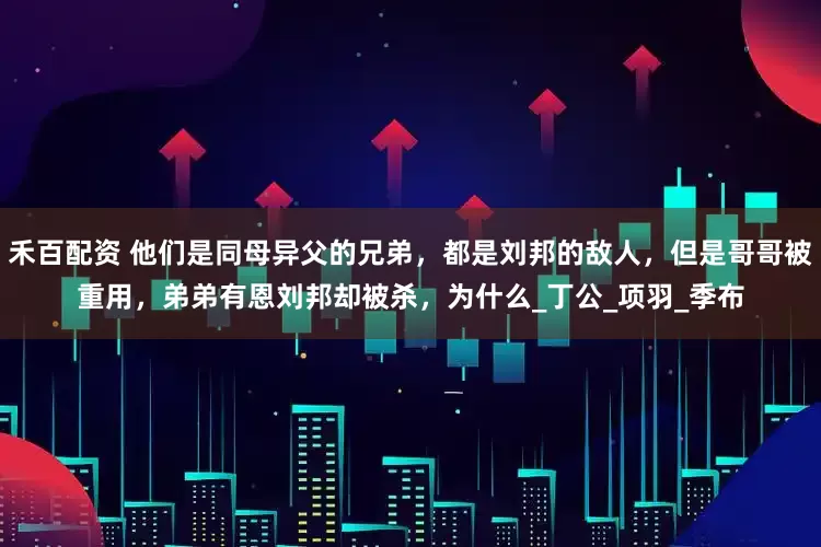 禾百配资 他们是同母异父的兄弟，都是刘邦的敌人，但是哥哥被重用，弟弟有恩刘邦却被杀，为什么_丁公_项羽_季布
