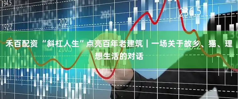 禾百配资 “斜杠人生”点亮百年老建筑｜一场关于故乡、猫、理想生活的对话