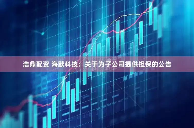 浩鼎配资 海默科技：关于为子公司提供担保的公告