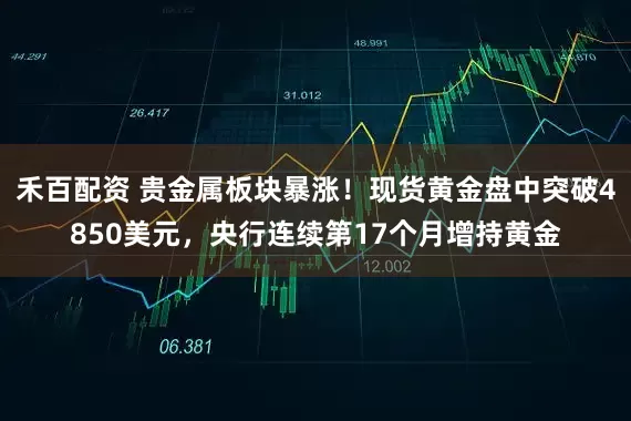 禾百配资 贵金属板块暴涨!现货黄金盘中突破4850美元,央行连续第17个月增持黄金